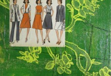 My cat is in the Dishwasher